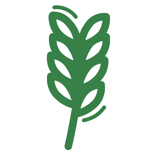 Ikonka POĽNÉ PLODINY