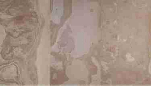 Autumn Cream Steinfurnier 122 x 61 cm