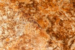 Alkorplan Poolfolie TOUCH Authentic 1,65 m 