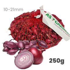 Cibuľa sadzačka ELECTRIC ozimná červená 10 - 21 mm, 250 g